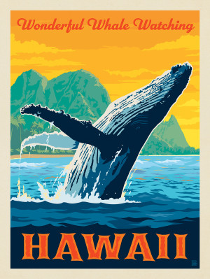 Hawaii: Wonderful Whale Watching