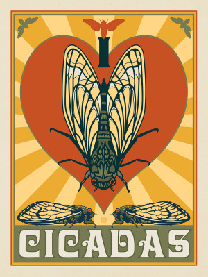 I Love Cicadas