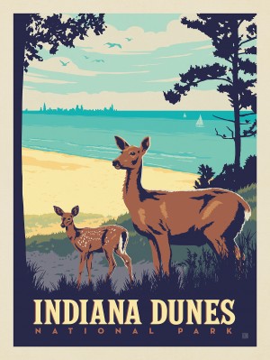Indiana Dunes National Park: Deer
