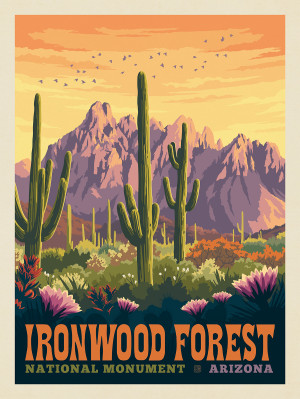 Ironwood Forest National Monument, Arizona