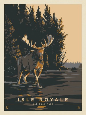 Isle Royale National Park: Chocolate Moose