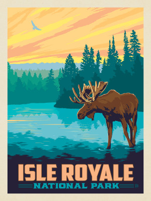 Isle Royale National Park: Morning Moose