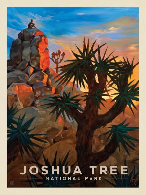 Joshua Tree National Park: Desert Sunrise