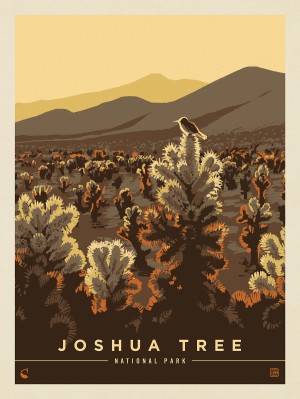 Joshua Tree National Park: Golden Hush