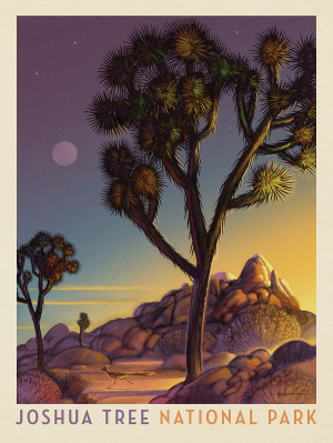 Joshua Tree National Park: Into The Evening