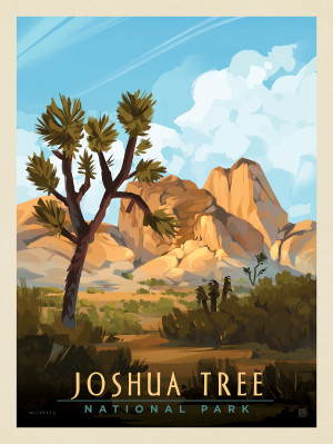 Joshua Tree National Park: Windswept Wonder