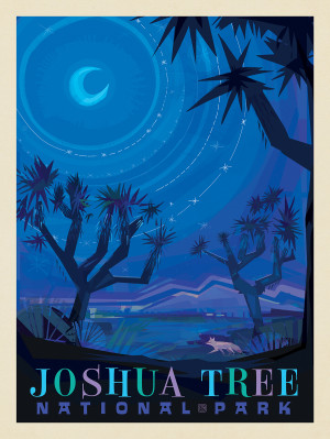 Joshua Tree National Park: Starlight (Mod Design)