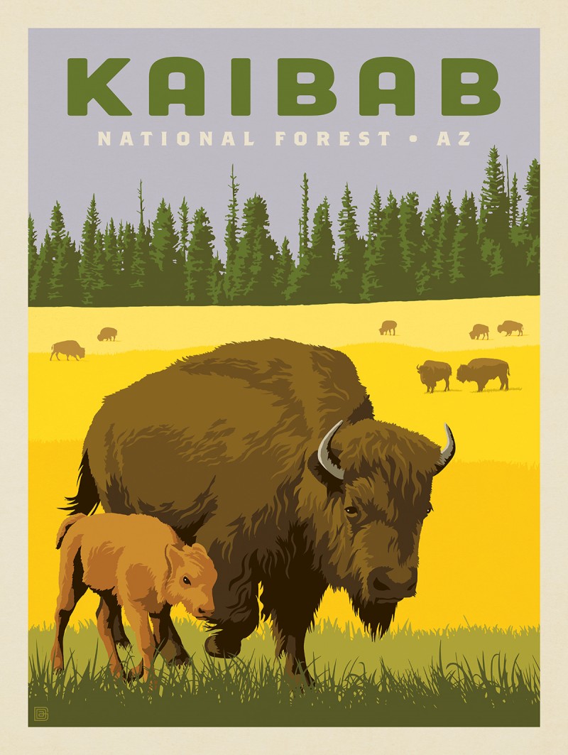 Kaibab National Forest