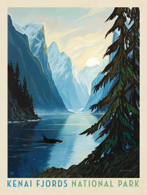 Kenai Fjords National Park: Orca