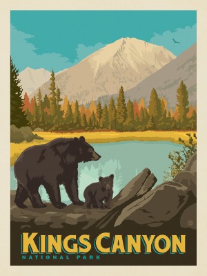 Kings Canyon National Park: Bears