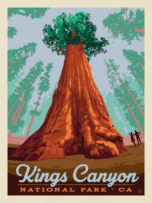 Kings Canyon National Park: General Grant