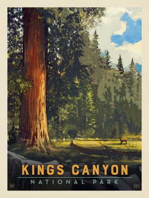 Kings Canyon National Park: Sequoia Grove