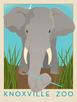 Knoxville Zoo Elephant