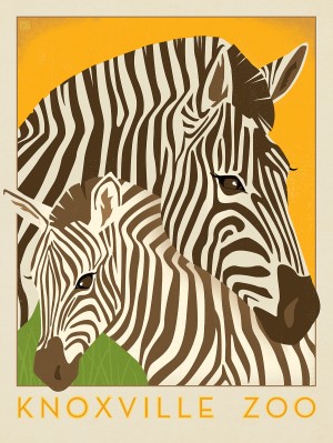 Knoxville Zoo Zebras