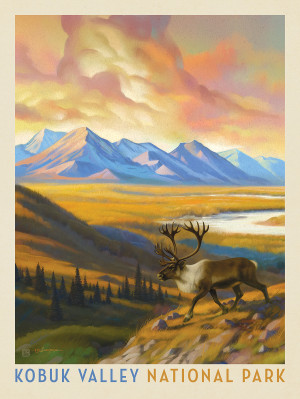 Kobuk Valley National Park: Caribou Country