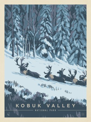 Kobuk Valley National Park: Winter Wonderland