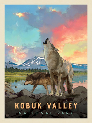 Kobuk Valley National Park: Wolves