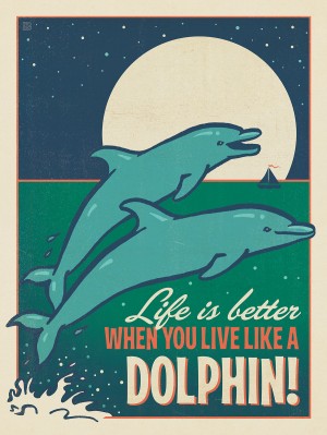 Live Like a Dolphin