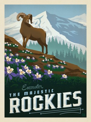 Macy's Flower Show: Rockies