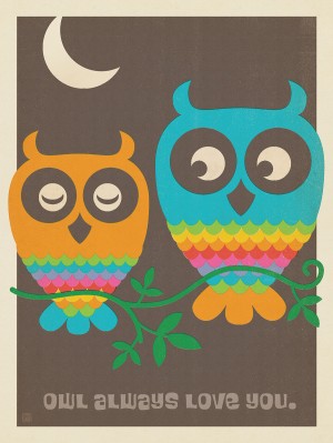 Mod Rainbow Owls