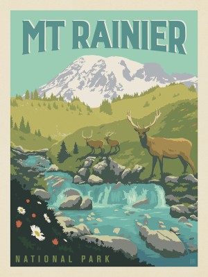 Mount Rainier National Park: Grazing Elk