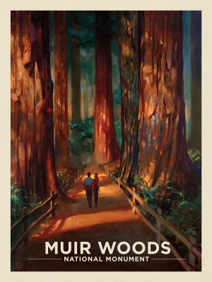 Muir Woods Magic