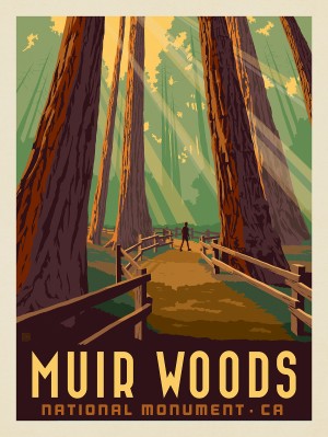 Muir Woods National Monument, California