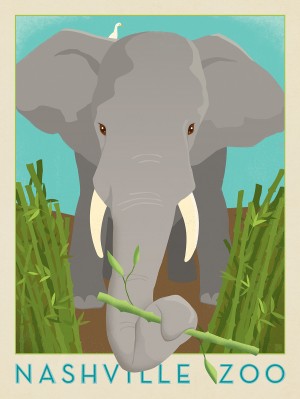 Nashville Zoo (Elephant)