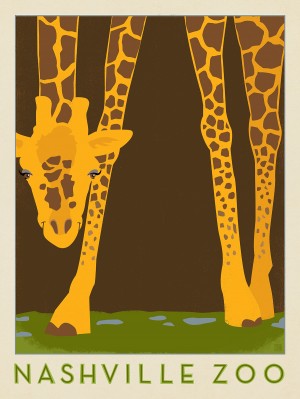 Nashville Zoo (Giraffe)