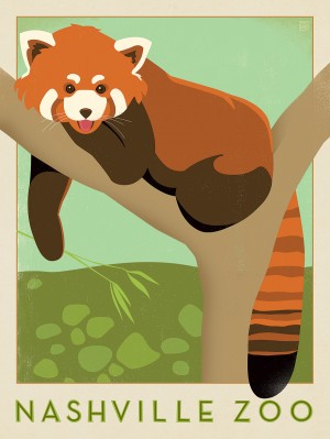 Nashville Zoo Red Panda