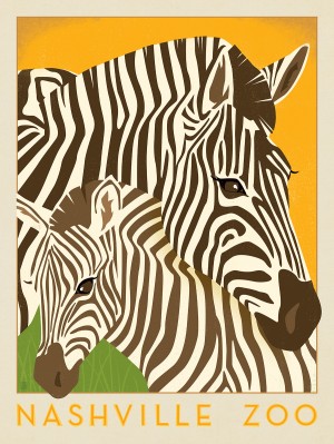 Nashville Zoo (Zebra)