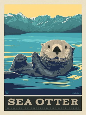 National Parks Wildlife: Sea Otter