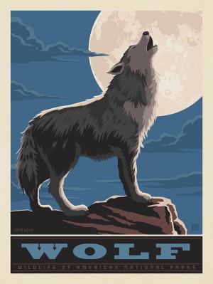 National Parks Wildlife: Wolf