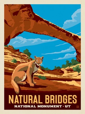 Natural Bridges National Monument, UT (Vertical)