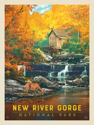 New River Gorge National Park & Preserve: Fall Colors