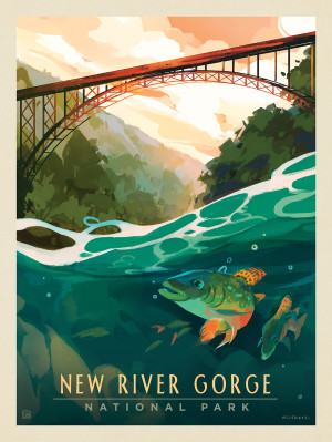 New River Gorge National Park & Preserve: Fish-Eye-View