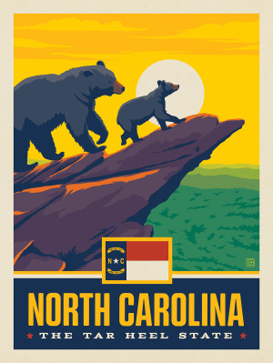 North Carolina State Pride