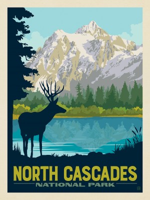 North Cascades National Park: Mule Deer