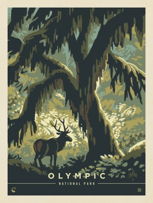 Olympic National Park: Deep In The Forest