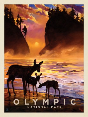 Olympic National Park: Magical Moment