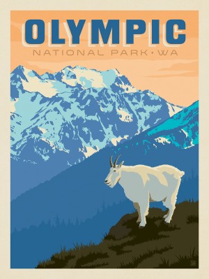 Olympic National Park: Mountain Goat