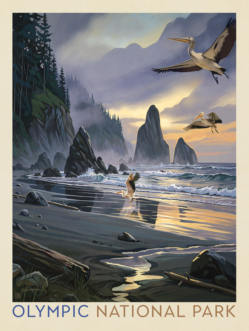 Olympic National Park: Pelican Paradise