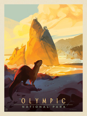 Olympic National Park: Sea Otter