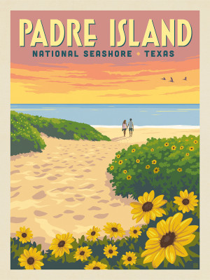 Padre Island National Seashore: Texas Goldentop Flowers