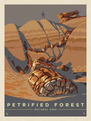 Petrified Forest National Park: Frozen In Time