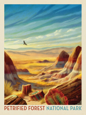 Petrified Forest National Park: Windswept Wonders