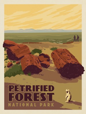 Petrified Forest National Park