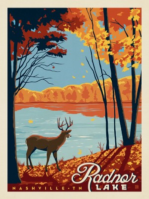 Radnor Lake: Fall View