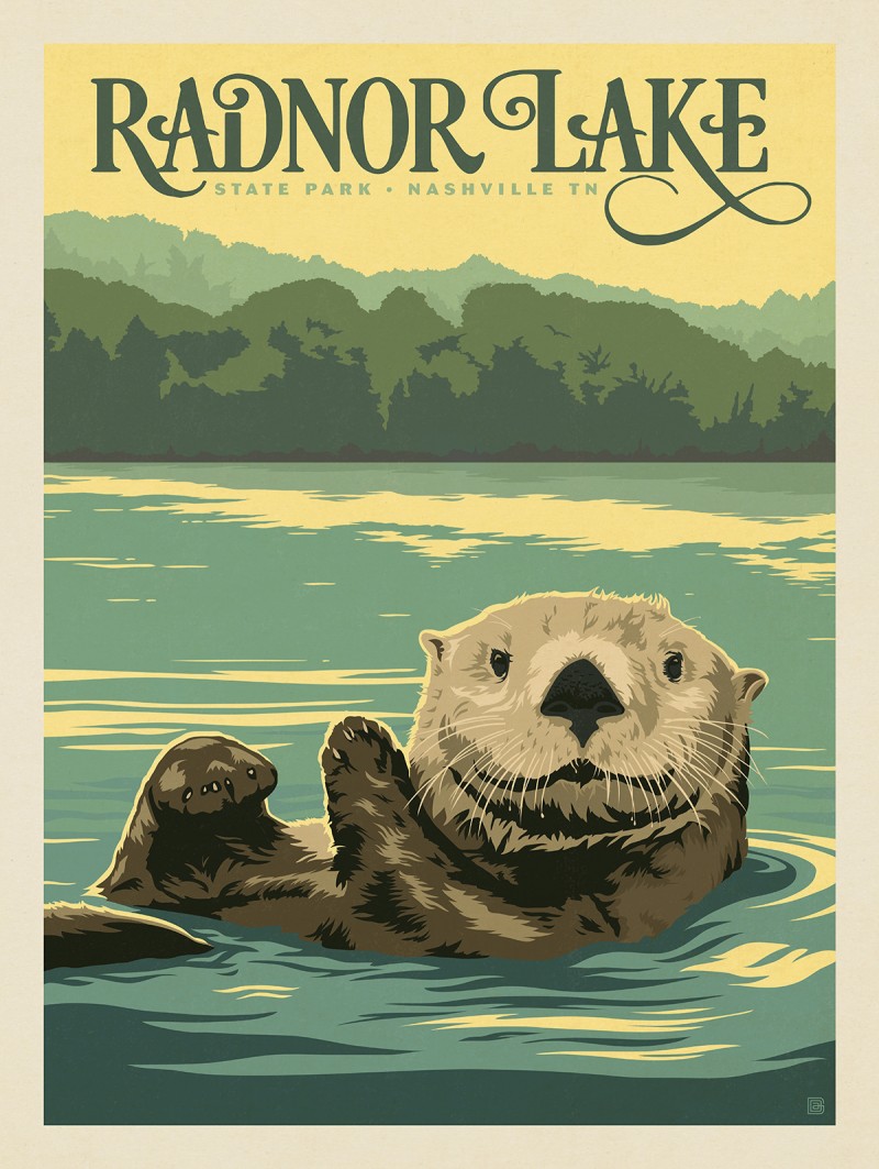 Radnor Lake: Otter