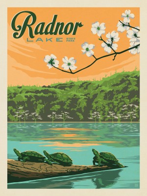 Radnor Lake: Spring Turtles